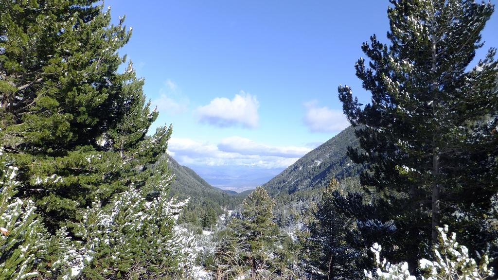 Bansko Prespa Ski Penthouse Quarto foto